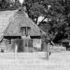 wie dazumal in der Lüneburger Heide