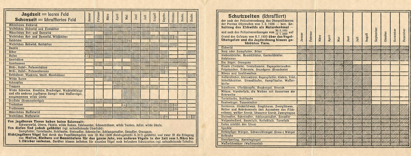 *wie dazumal*  -  Jagdzeit/Schonzeit 1924