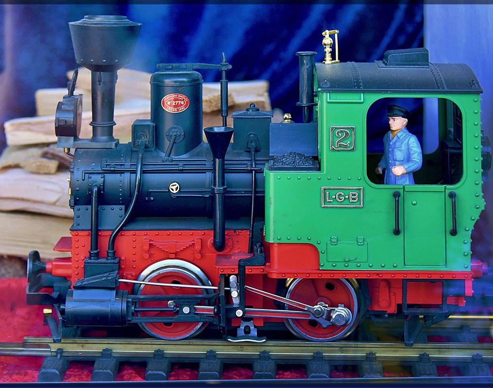 wie dazumal LGB GartenEisenbahn Foto & Bild