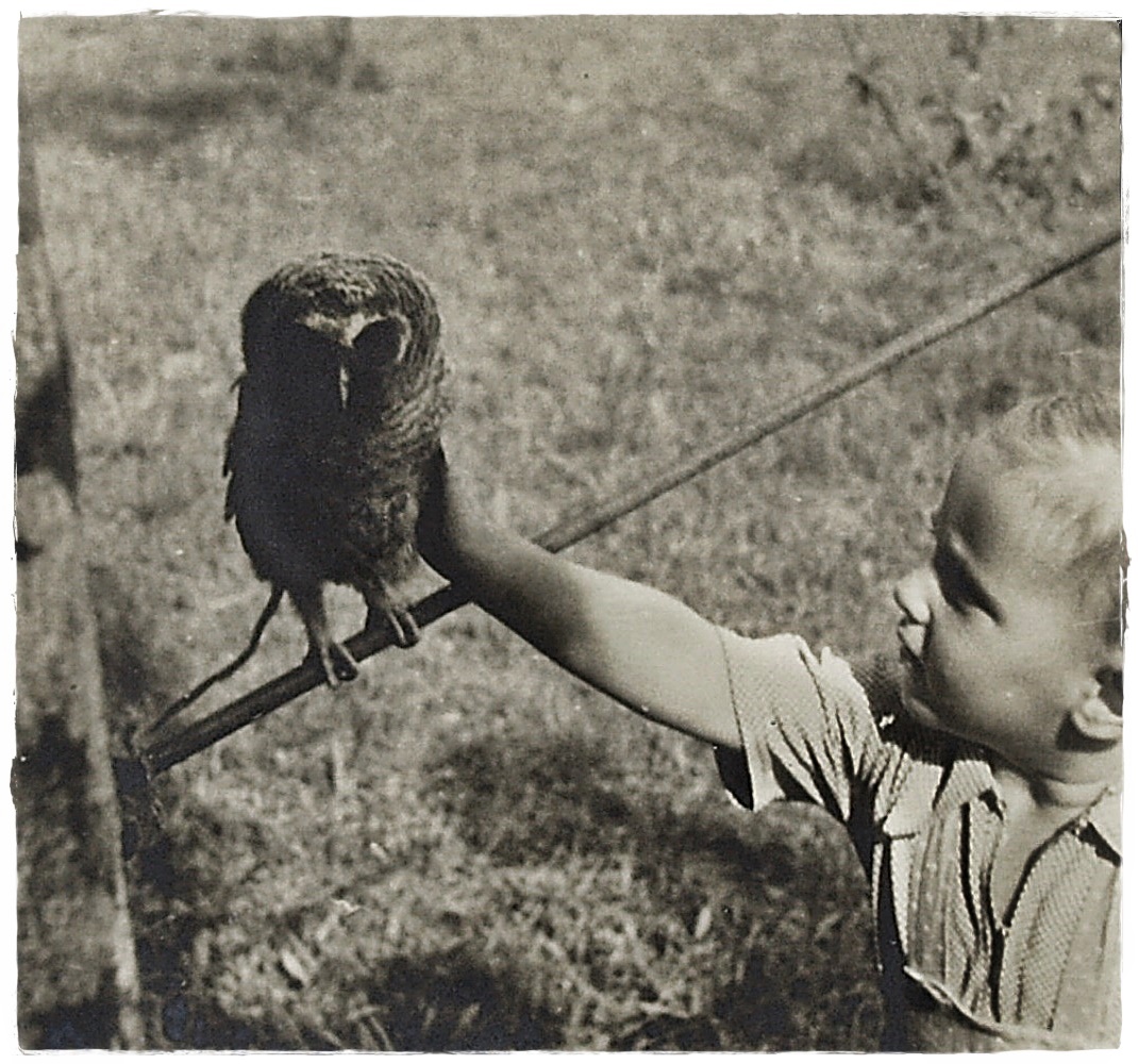 Wie Dazumal- Meine 1. Vogelbegegnung