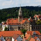 Wie Dazumal: Schloss Sigmaringen