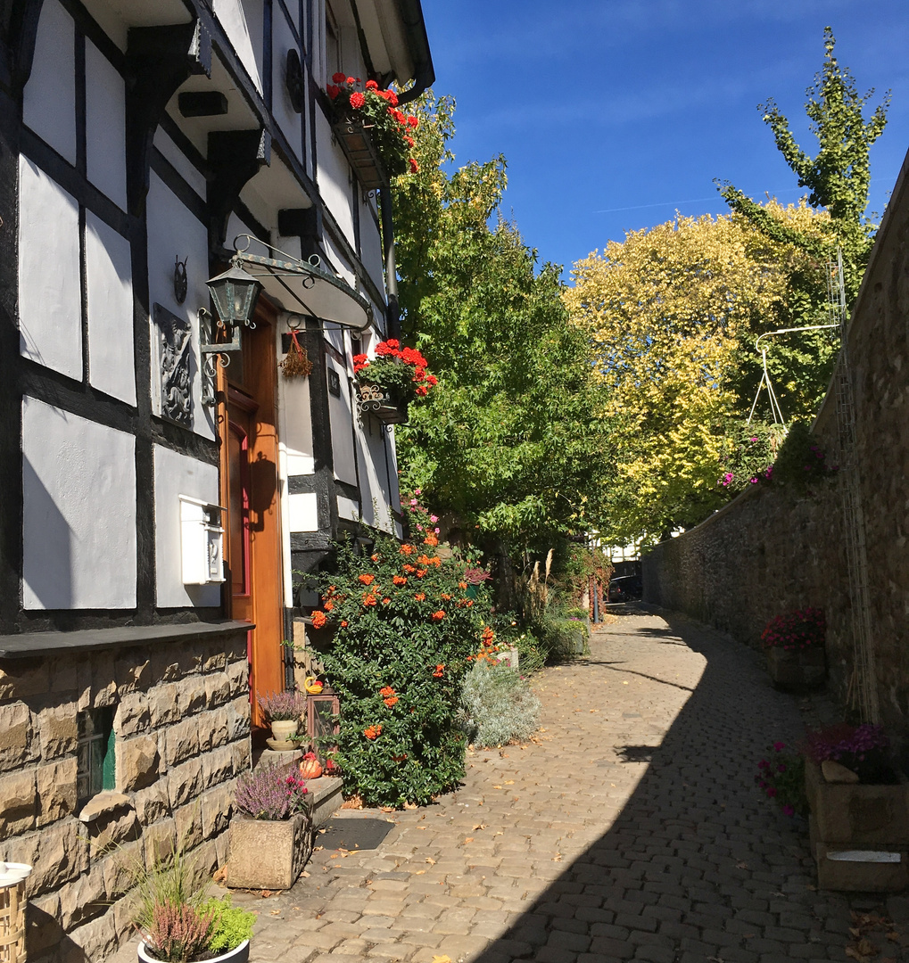 wie dazumal - Spätsommer an der Stadtmauer