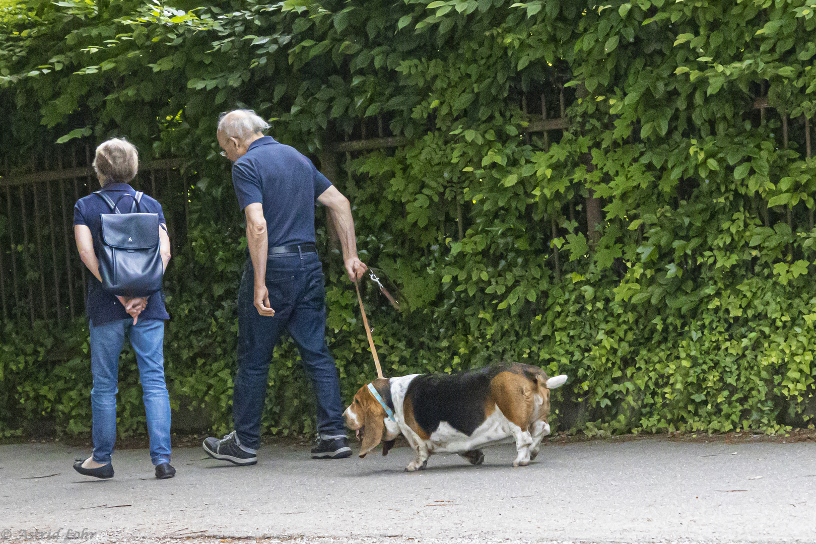 Wie der Herr so 's Gscherr