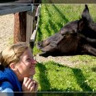 wie der Herr so's Gescherr....