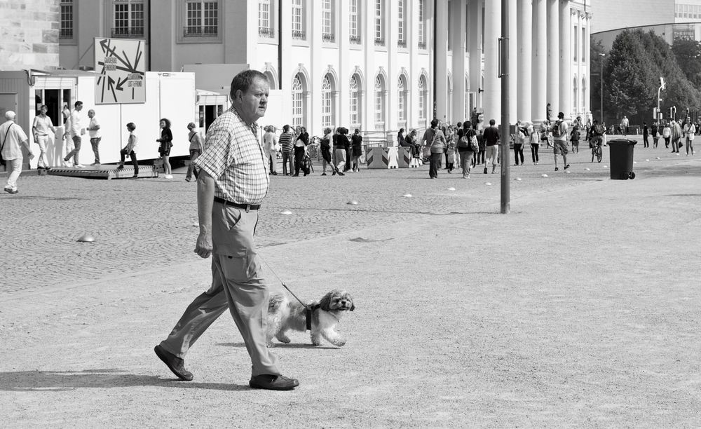 Wie der Herr, so’s Gescherr Foto & Bild | erwachsene menschen ...