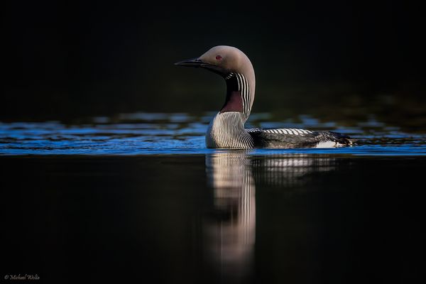 wie der Name schon sagt ...