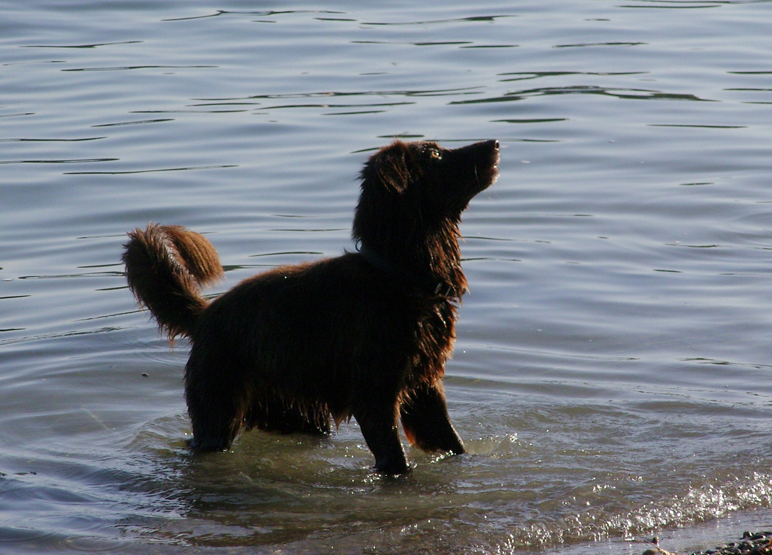 Wie, der Sommer ist vorbei?