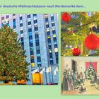 Wie der Weihn.-Baum nach Nordamerika kam