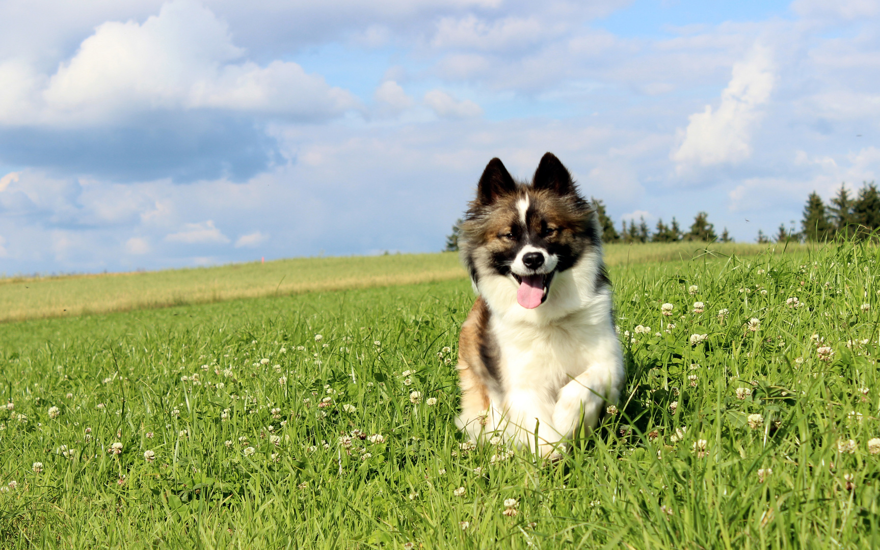 Wie der Wind...