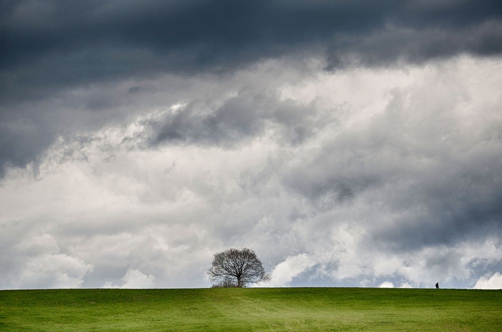 Wie die Ruhe vor dem Sturm - Brittainy C. Cherry