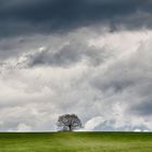 Wie die Ruhe vor dem Sturm - Brittainy C. Cherry