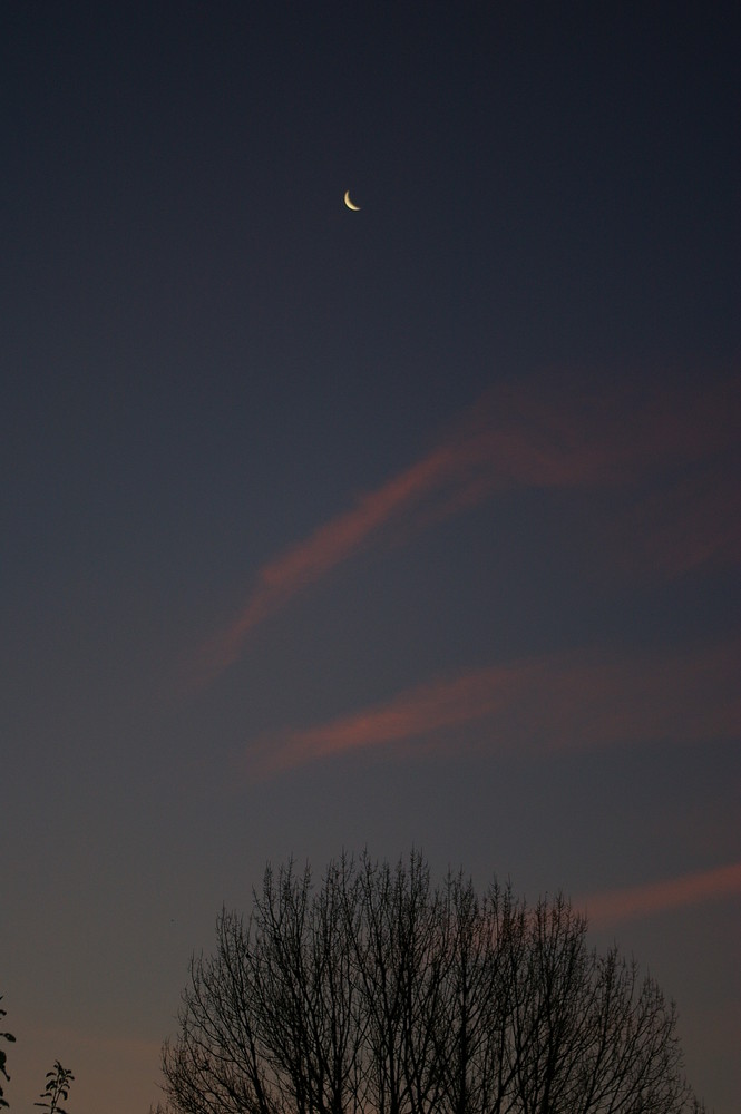 wie die sichel vom mond...