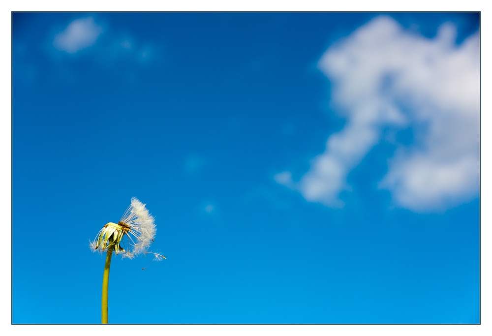 Wie die Wolken entstehen...