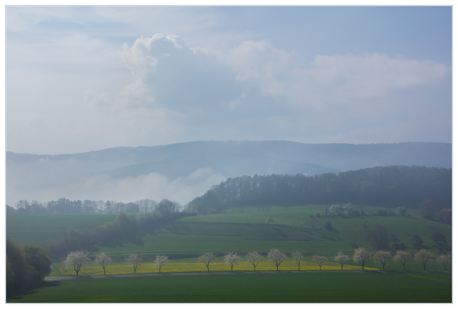 Wie durch ein seidenes Tuch -  (das Foto ist nicht zu blass !)   ;-))