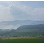 Wie durch ein seidenes Tuch -  (das Foto ist nicht zu blass !)   ;-))