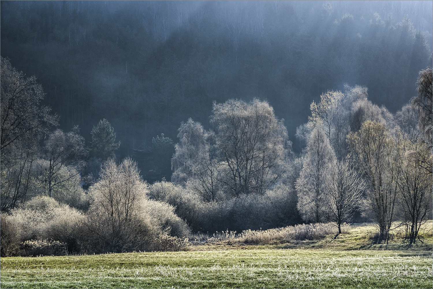 wie ein blasser frühlingsmorgen, noch durchhaucht von winterkälte