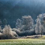 wie ein blasser frühlingsmorgen, noch durchhaucht von winterkälte