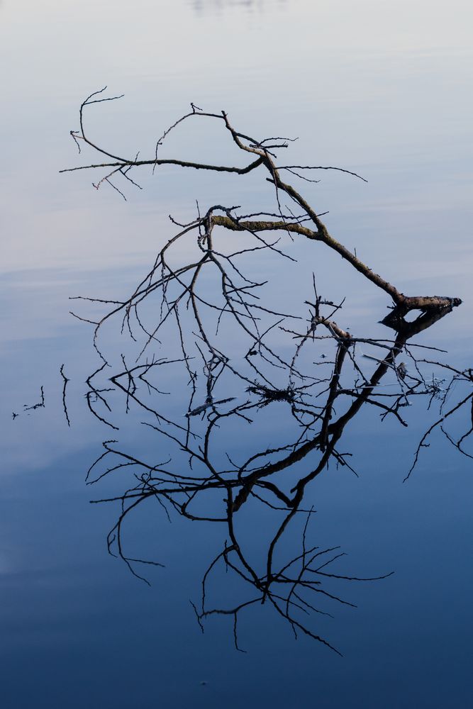 Wie ein Gemälde der Natur?