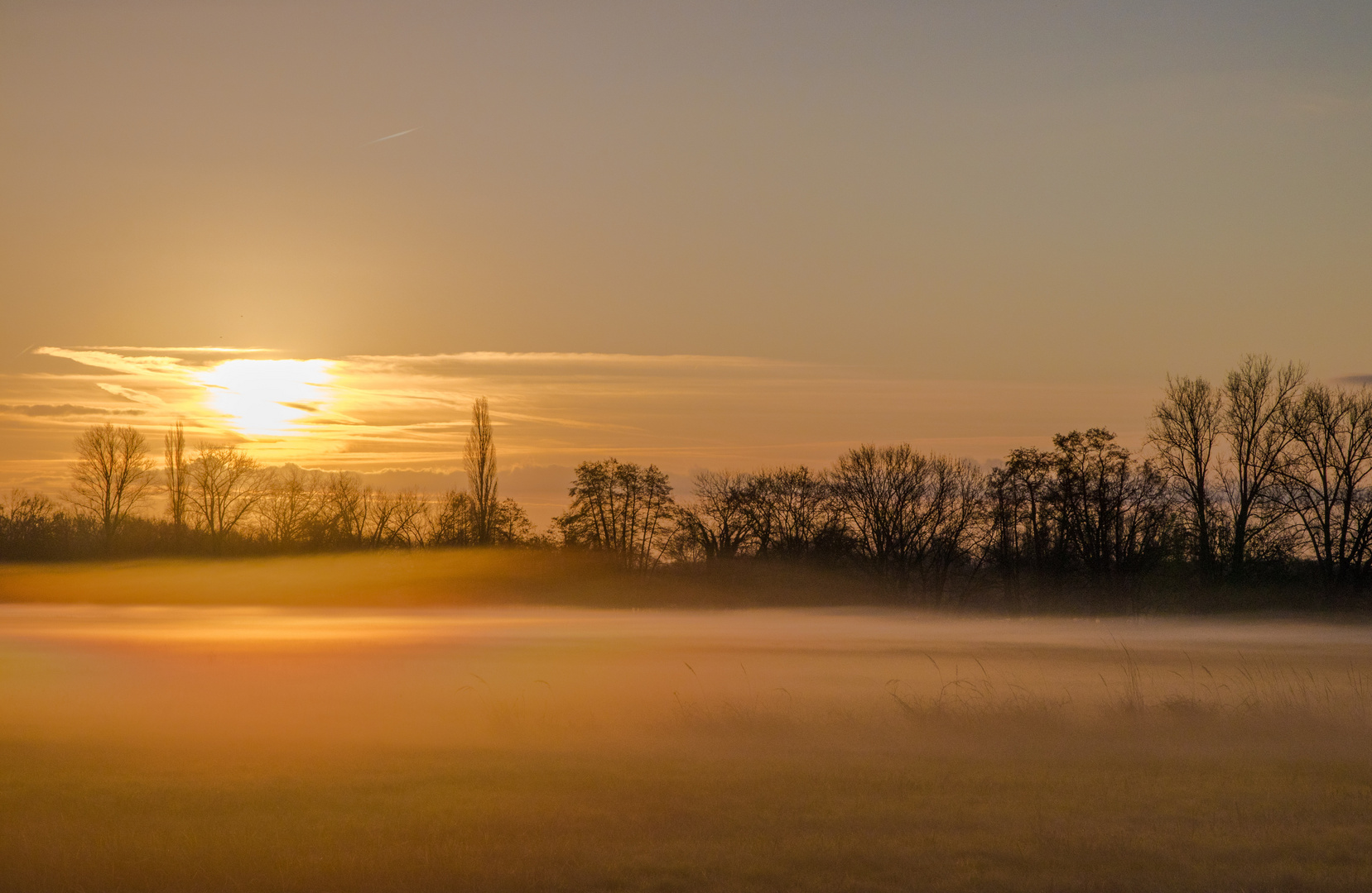 Wie ein goldener Schleier...