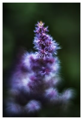 ... wie ein Leuchtturm im Morgenlicht ...