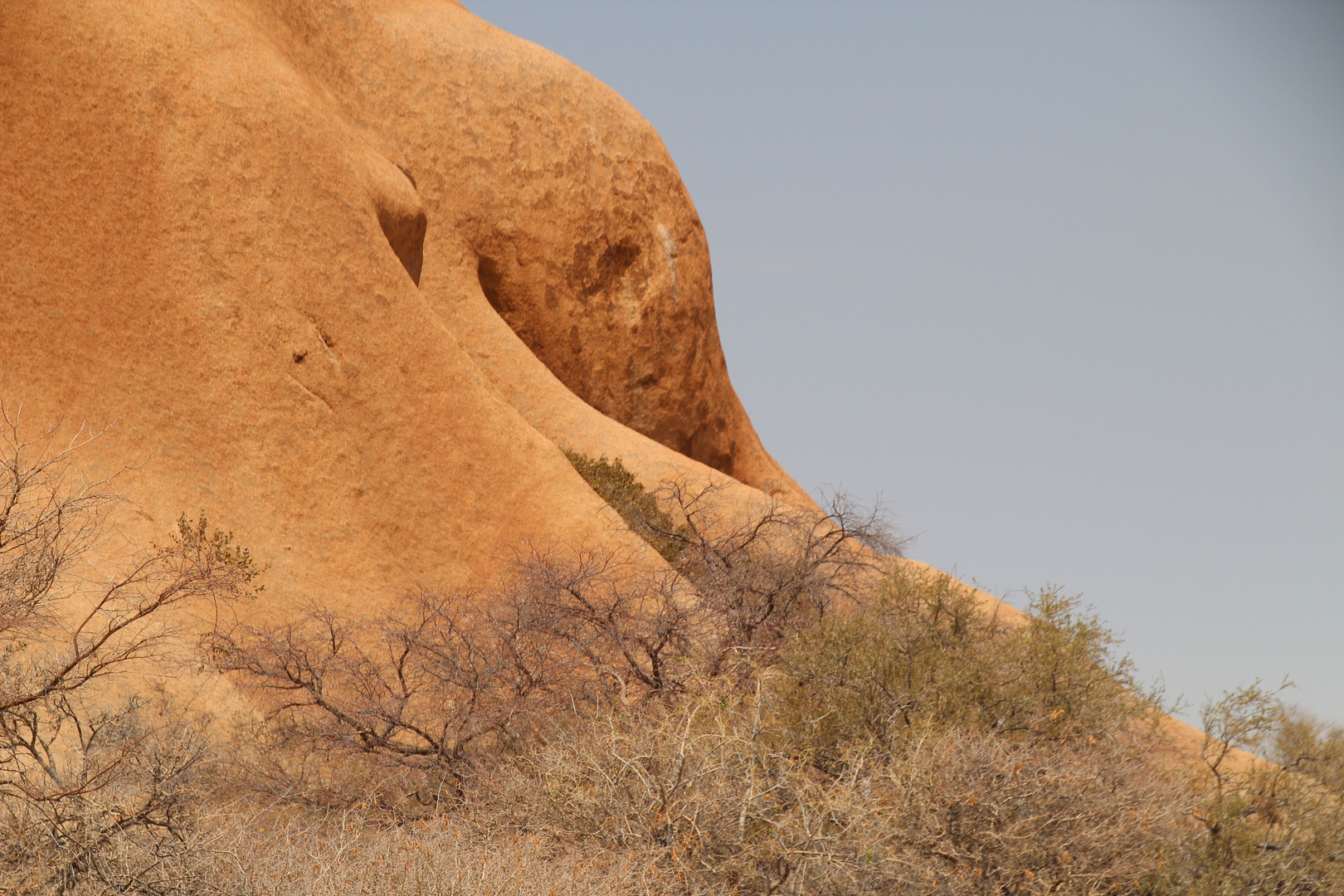 wie ein liegender Elefanten Kopf, Spitzkoppe , Namibia