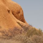 wie ein liegender Elefanten Kopf, Spitzkoppe , Namibia