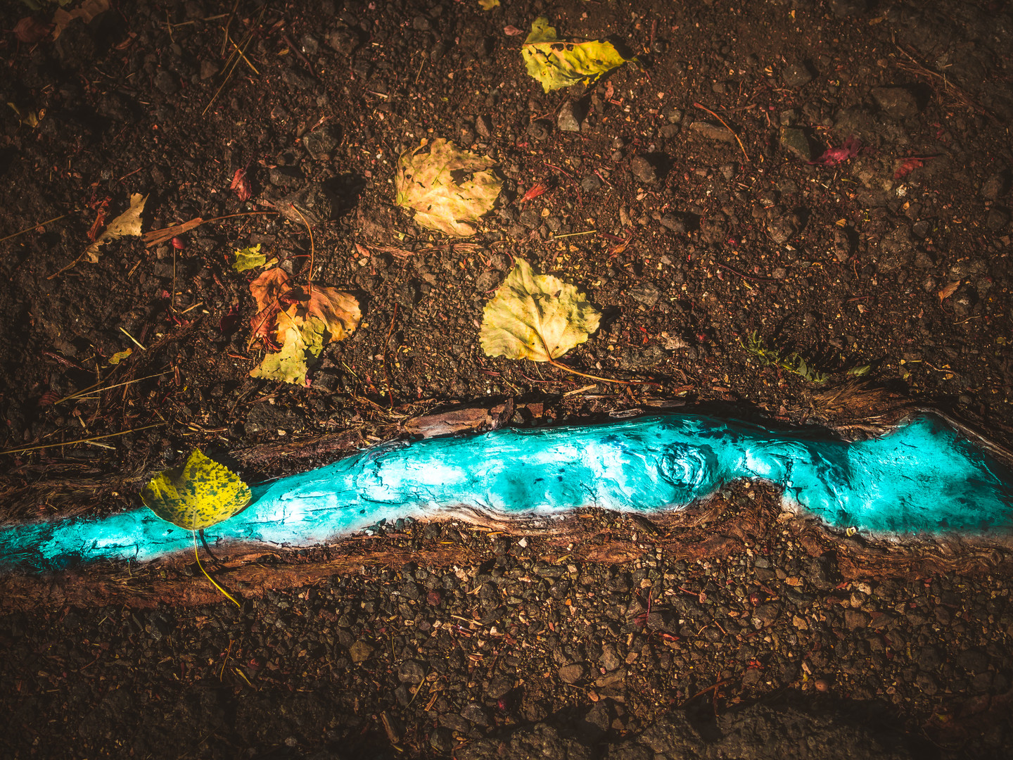 Wie ein märchenhafter Fluss im Wald