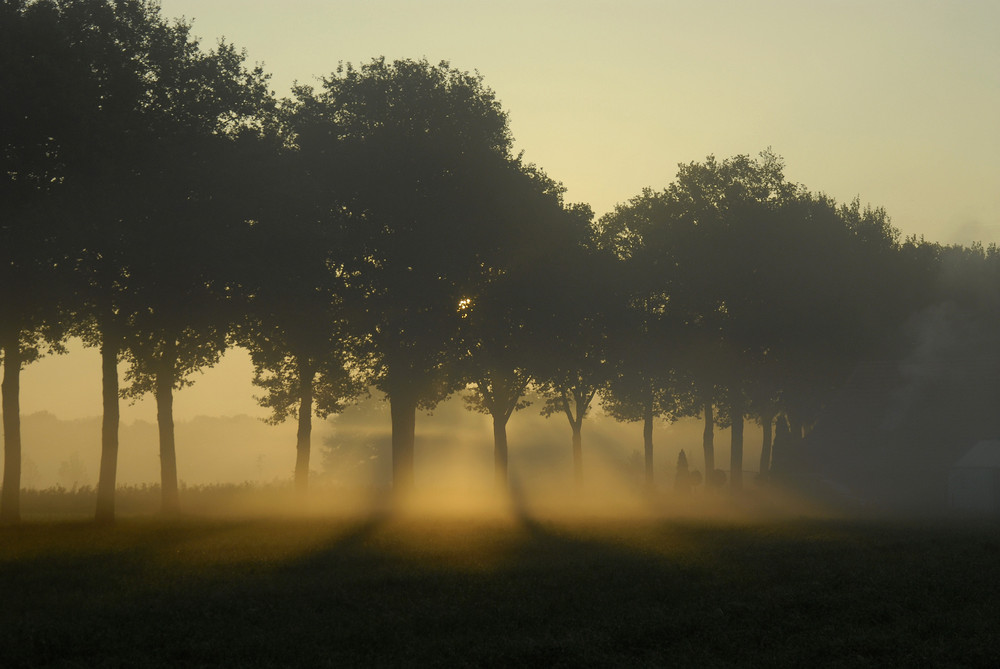 Wie ein Ofen brennt die Sonne