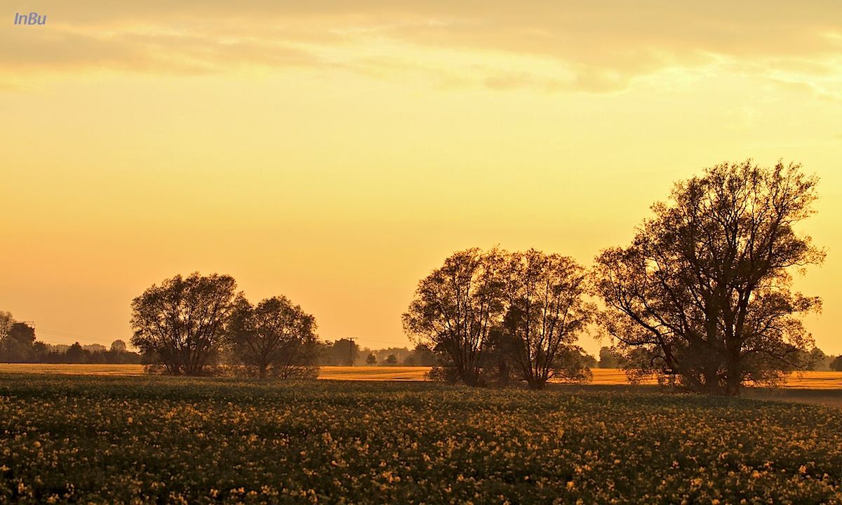 wie ein Sommer Abend