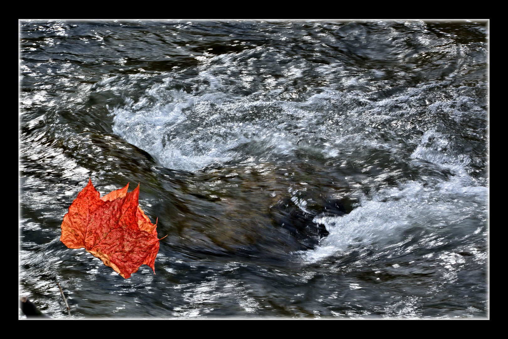 Wie ein Strudel saugt der Herbst die Blätter von den Bäumen