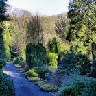 Wie ein verwunschener Garten