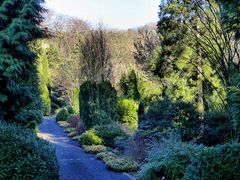 Wie ein verwunschener Garten