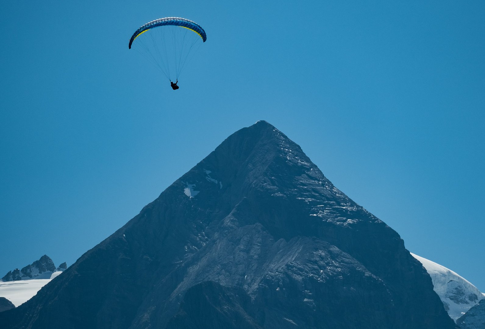 Wie ein Vogel im Wind