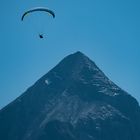 Wie ein Vogel im Wind