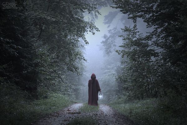 Wie ein Wort, das noch im Schweigen reift