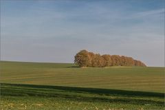 - wie eine große Raupe -