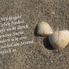 ...wie eine Muschel am Strand