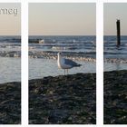 wie eine Postkarte aus norderney :-)