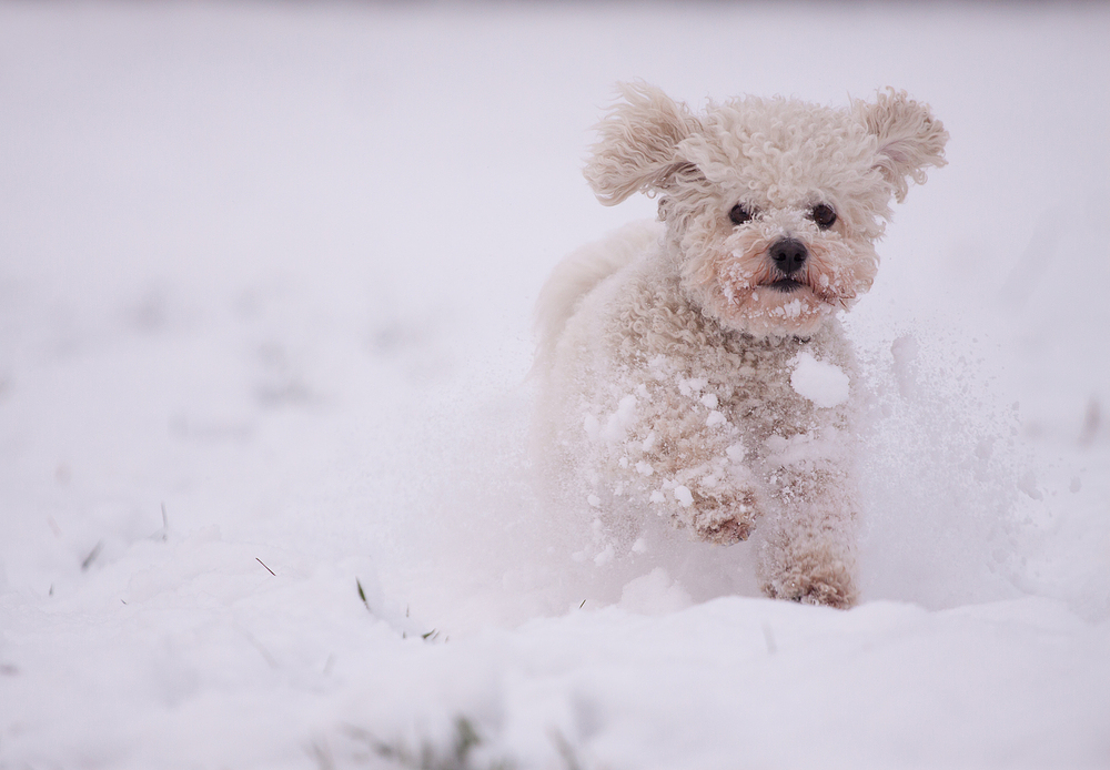 Wie eine Schneekugel...