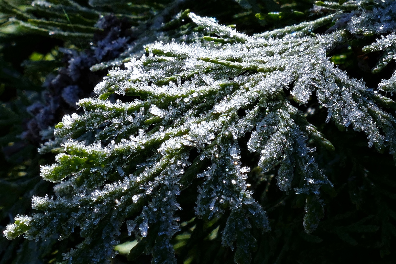 Wie eiskalt ist das Händchen