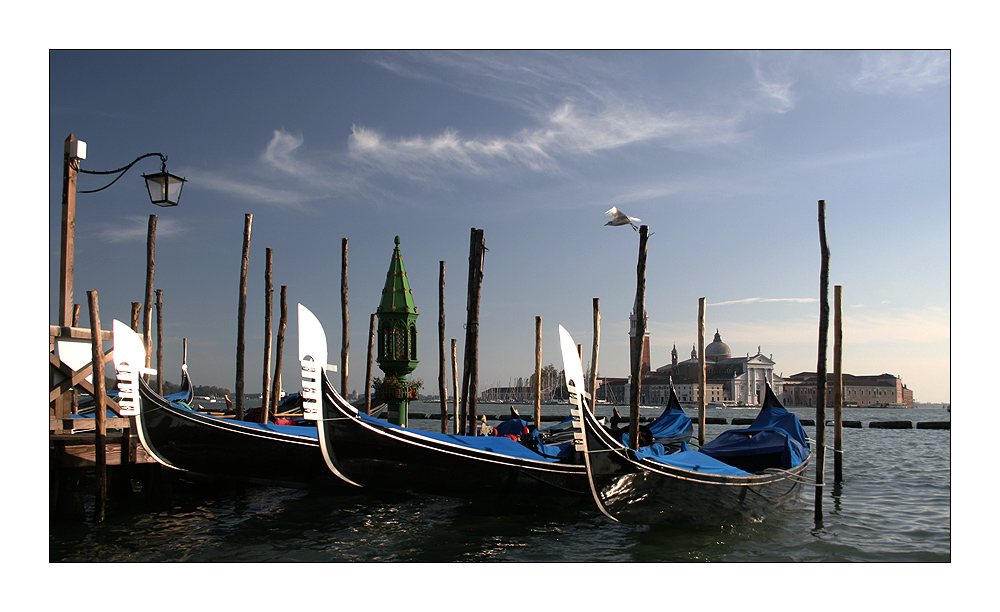 Wie es die Touristen sehen: Venedig - Markusplatz 3