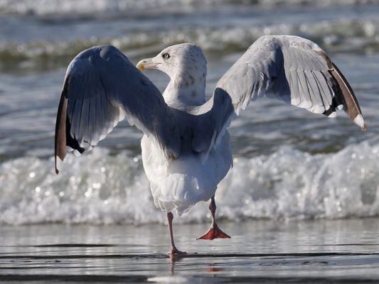 Wie es mir heute geht 3