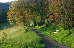 Wie Frühling und Herbst gleichzeitig