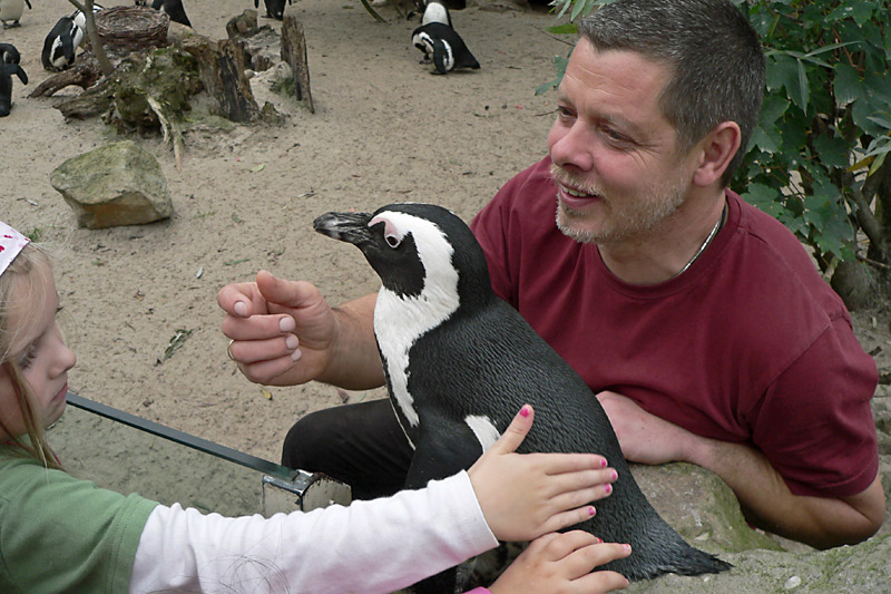 Wie fühlt sich eigentlich so ein Pinguin an?