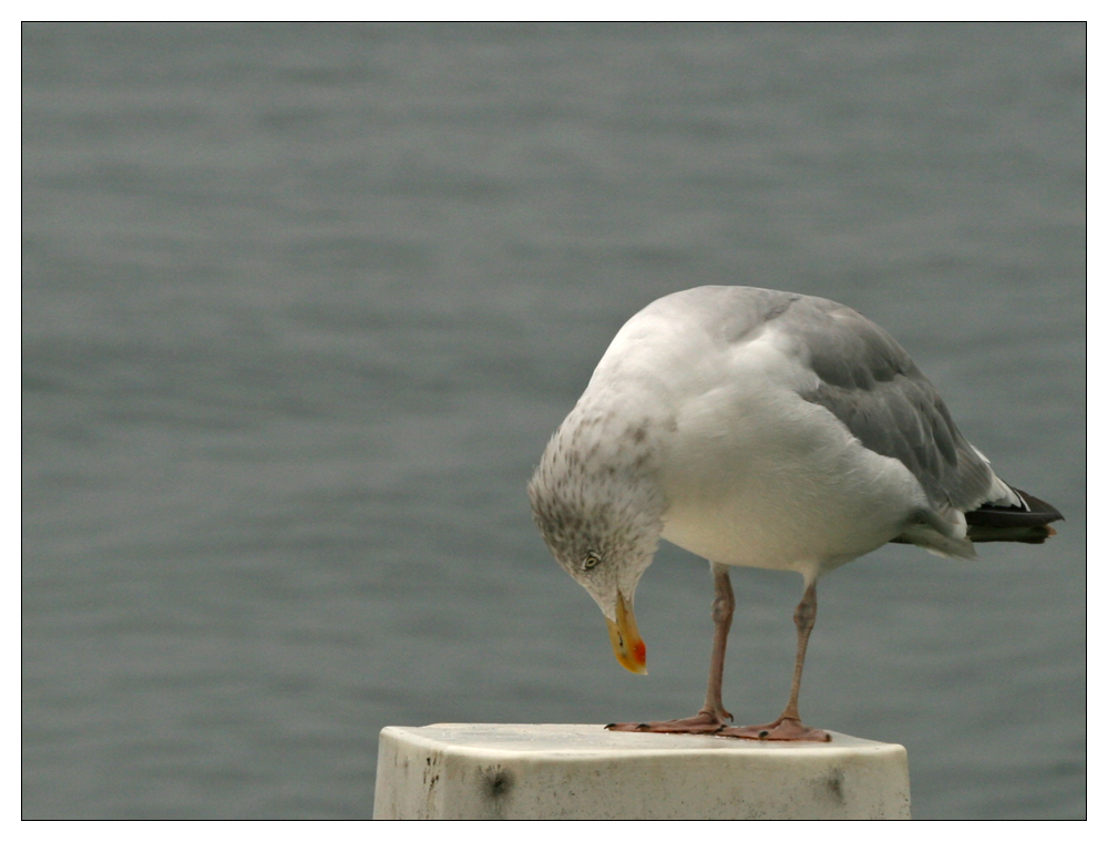 Wie? Füße waschen?