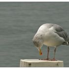 Wie? Füße waschen?