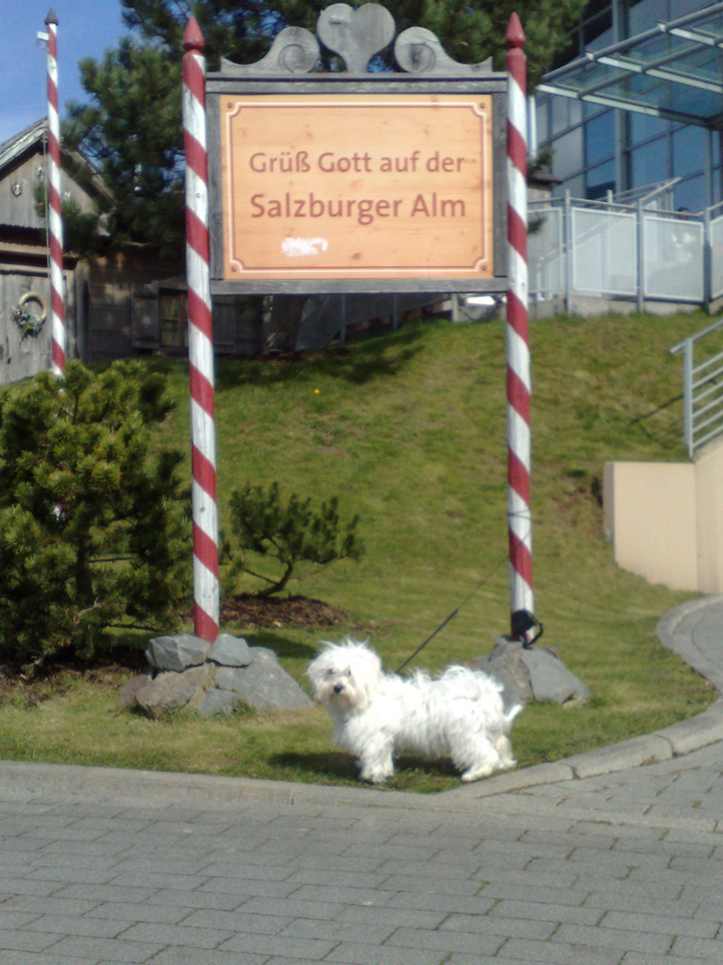 Wie gehts denn hier nach Österreich?