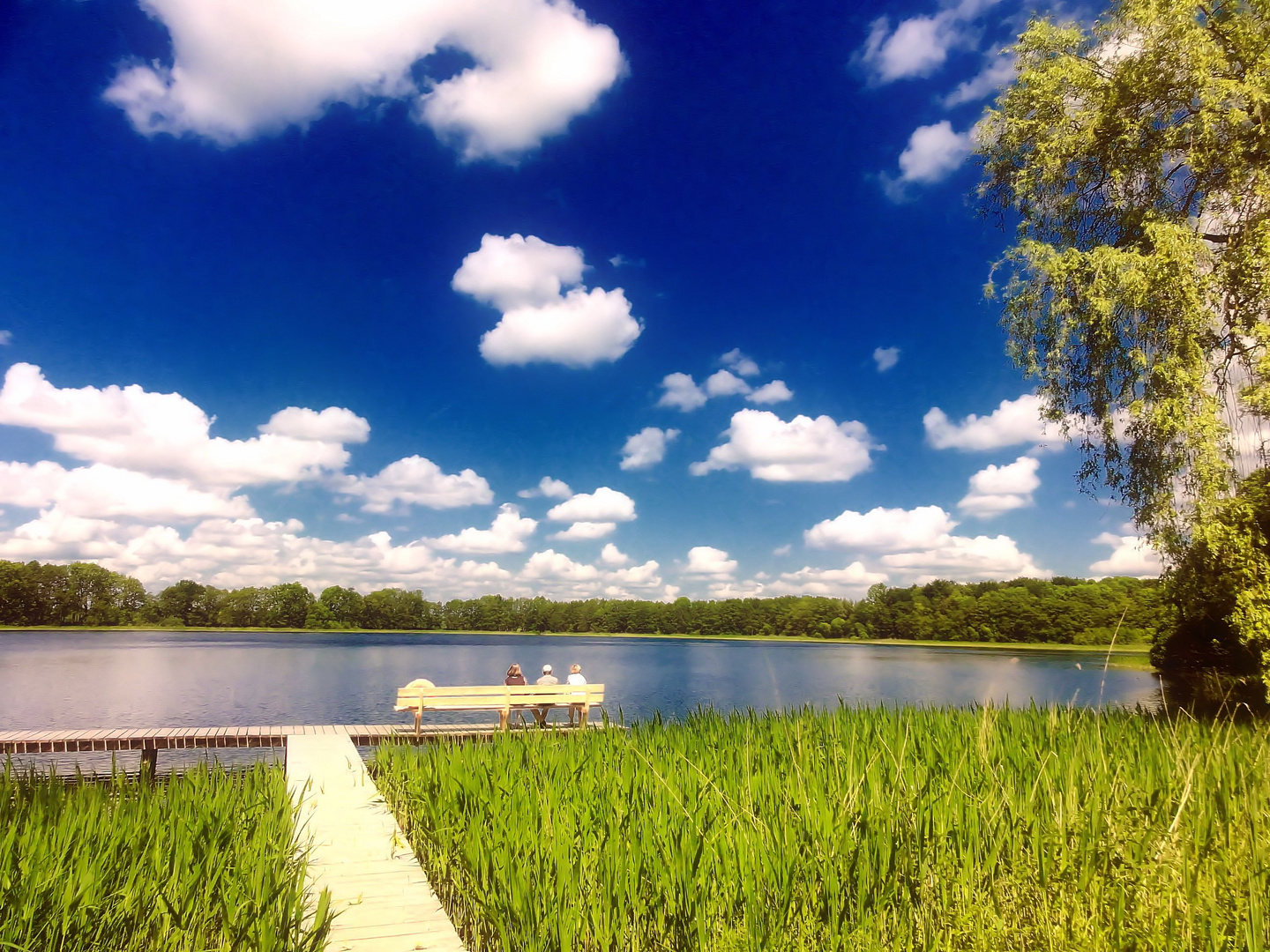 ...wie gemalt Foto & Bild landschaft, bach, fluss & see, see, teich