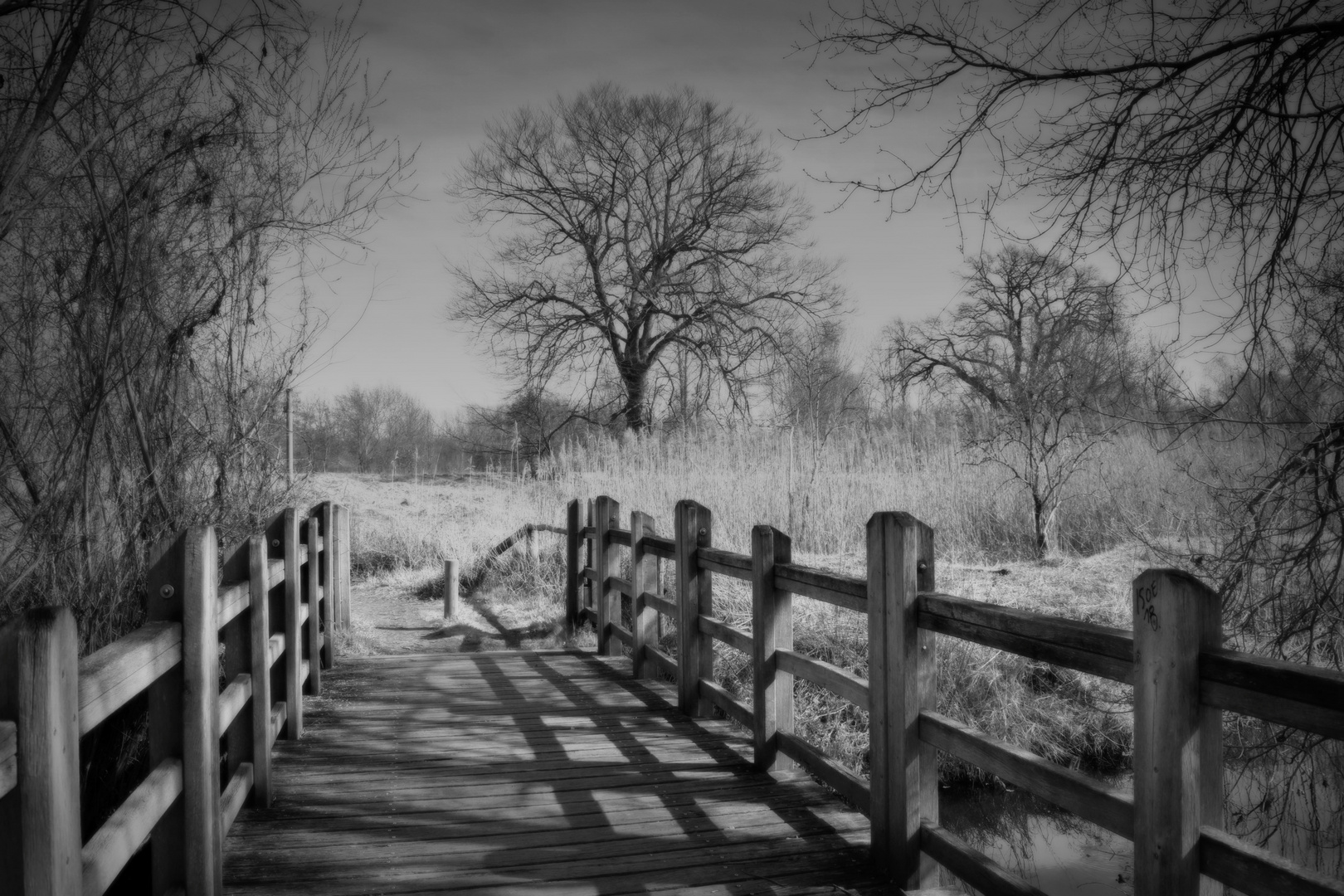 Wie gemalt.....Brücke im Naturschutzgebiet Karower Teiche