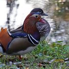 wie gesagt habe ich nicht die intersantesten und schönheiten im park sansouci nicht übergesehen